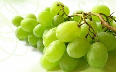 12 deseos para un nuevo año