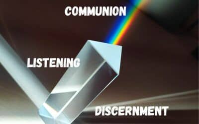 Synodality in the Church
