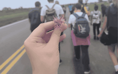 FI 青年：希望的朝聖之旅