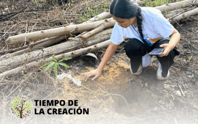 Tempo da Criação 2025: Semeando paz e esperança