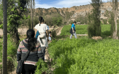 Finding Joy – Bolivia 2025 (EA25)