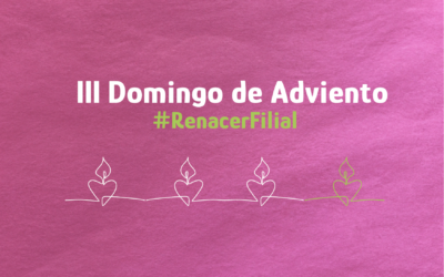 Advent invites us to trusting patience