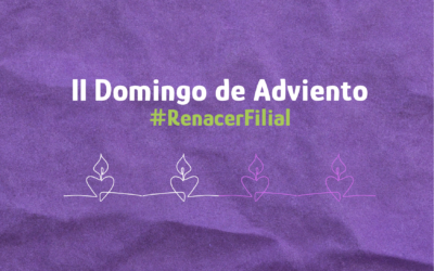 Advent invites us to develop communion