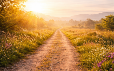 IV Domingo de Cuaresma